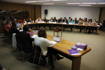 “Institucionalidad pública regional para la promoción y protección de los derechos de las mujeres y combate a la violencia de género en el Mercosur” Ponencia presentada por el IPPDH.